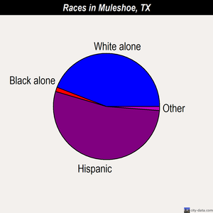 Muleshoe races chart