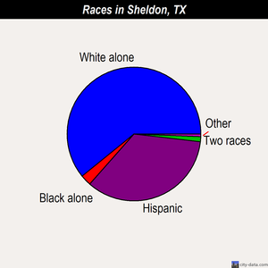 Sheldon races chart