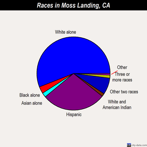 Moss Landing races chart