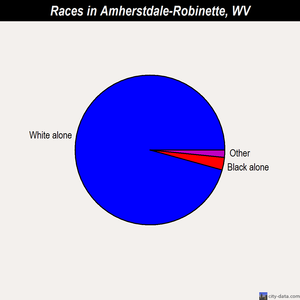 Amherstdale-Robinette races chart