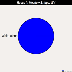 Meadow Bridge races chart