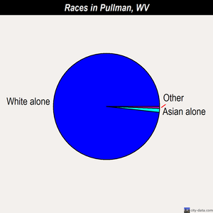 Pullman races chart
