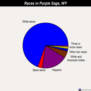 Purple Sage races chart