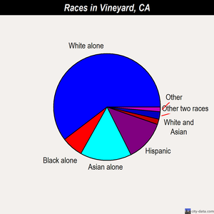 Vineyard races chart