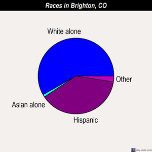 Brighton races chart