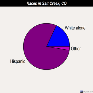 Salt Creek races chart
