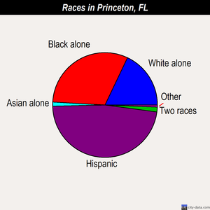 Princeton races chart