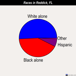 Reddick races chart