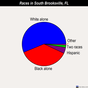 South Brooksville races chart