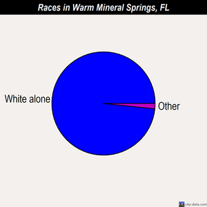 Warm Mineral Springs races chart