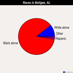 Boligee races chart