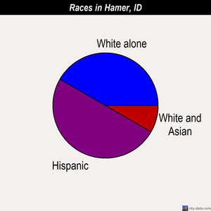 Hamer races chart