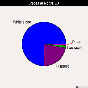 Notus races chart