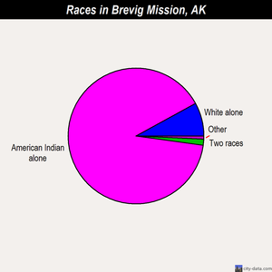 Brevig Mission races chart