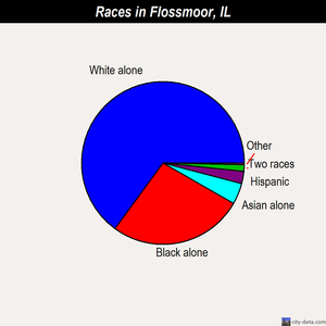 Flossmoor races chart