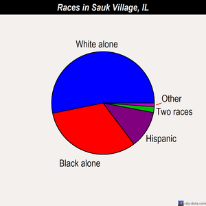 Sauk Village races chart