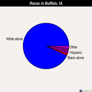 Buffalo races chart