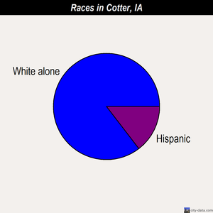 Cotter races chart