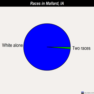 Mallard races chart