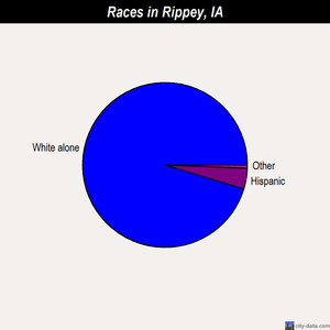 Rippey races chart