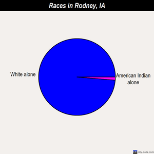 Rodney races chart
