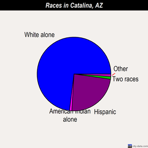 Catalina races chart