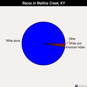 Wallins Creek races chart