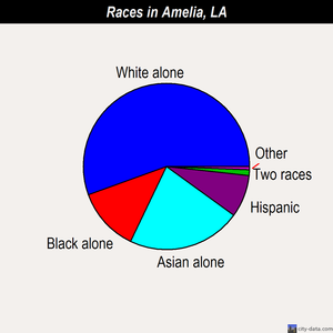 Amelia races chart
