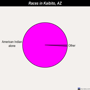 Kaibito races chart