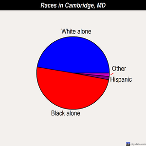 Cambridge races chart