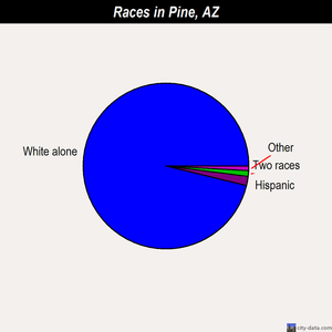Pine races chart