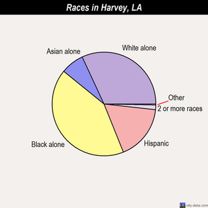 Harvey races chart