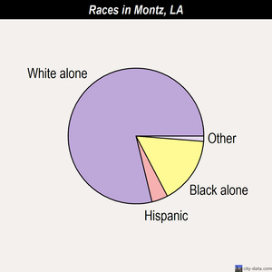 Morgan City races chart