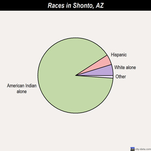 Shonto races chart