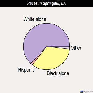 spring hill fl demographics spring hill fl demographics
