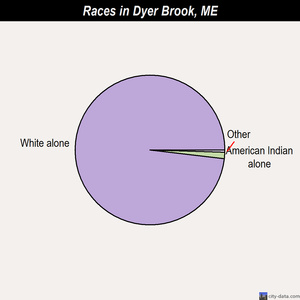 Dyer Brook races chart