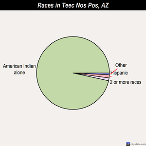 Teec Nos Pos races chart