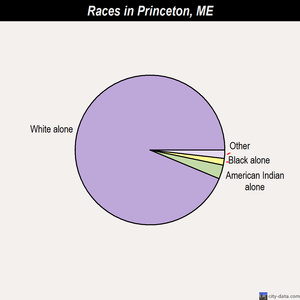 Princeton races chart