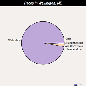 Wellington races chart