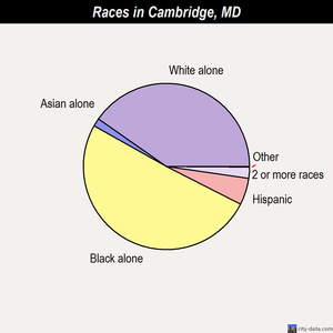 Cambridge races chart