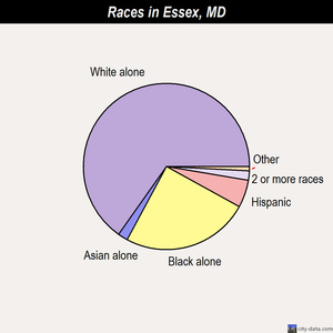 Essex races chart. White alone - 25,161 (64.1%); Black alone - 10,187 (25.9%