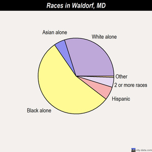 Waldorf races chart