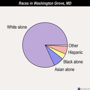 Washington Grove races chart