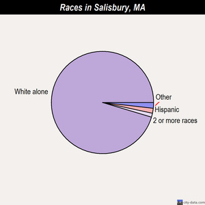Salisbury races chart