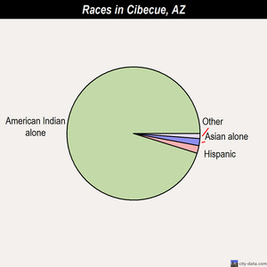 Cibecue races chart