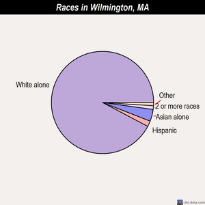 Woods Hole races chart