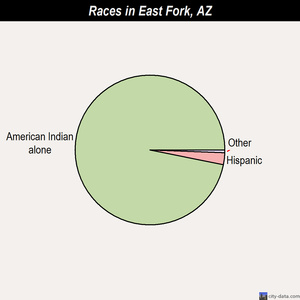 East Fork races chart