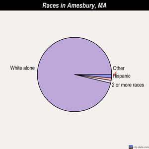 Amesbury races chart