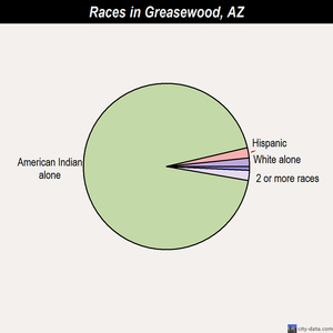 Goodyear races chart