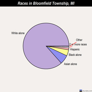 Bloomfield Township races chart
